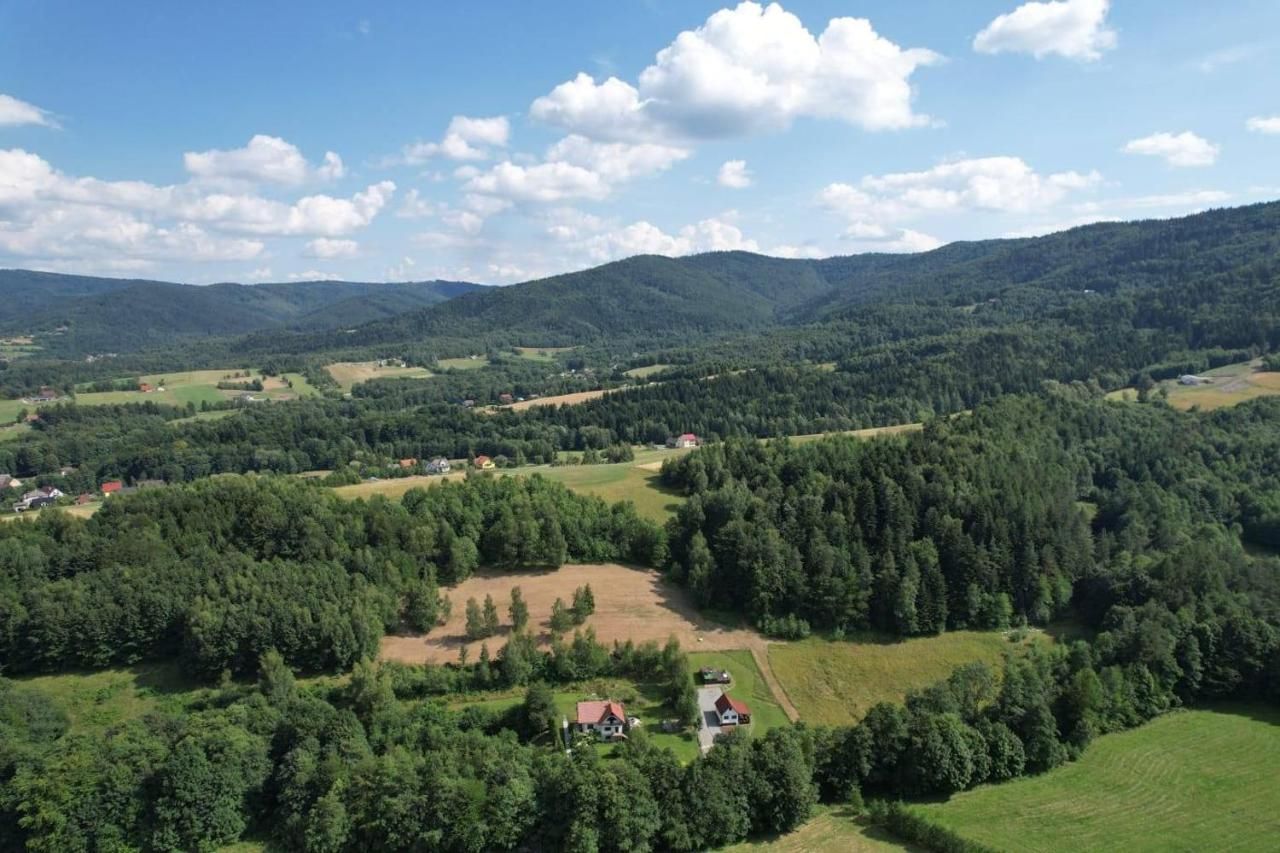 Okolica z góry: lasy i wzgórza
