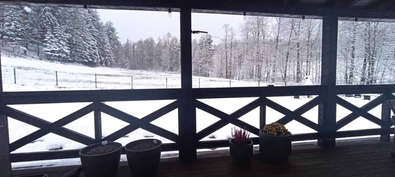 Widok z tarasu na zimowy las